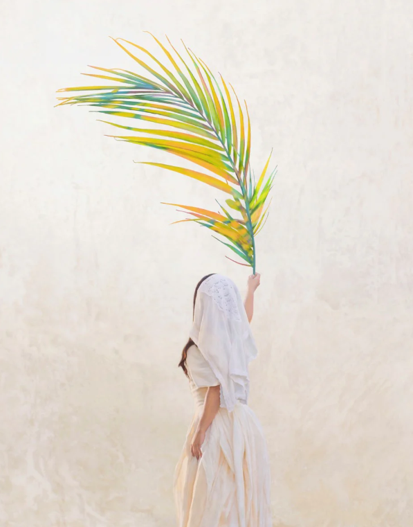 A Procession of Palms